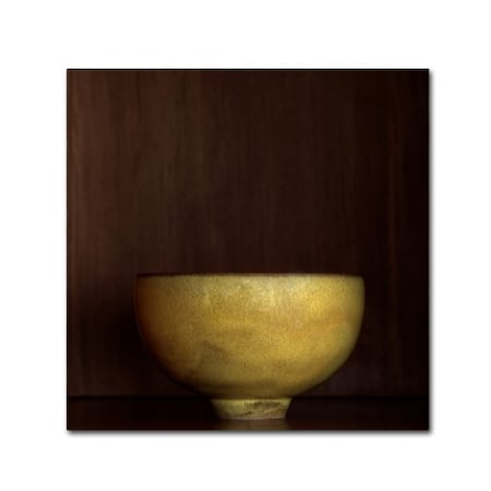 Geoffrey Ansel Agrons 'Tea Bowl' Canvas Art,14x14